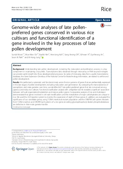 Genome Wide Analyses Of Late Pollen Preferred Genes Conserved In Various Rice Cultivars And Functional Identification Of A Gene Involved In The Key Processes Of Late Pollen Development